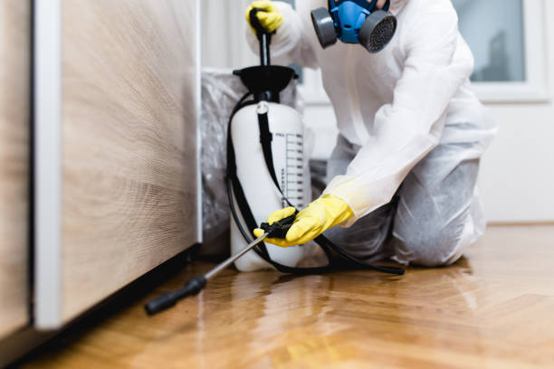 Best Ant Control Services  in Fincastle, TN