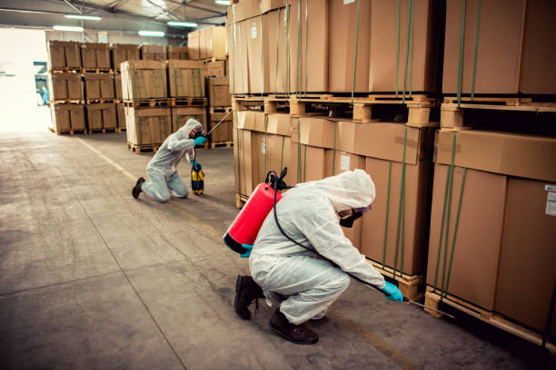 Best Bed Bug Extermination  in Fincastle, TN