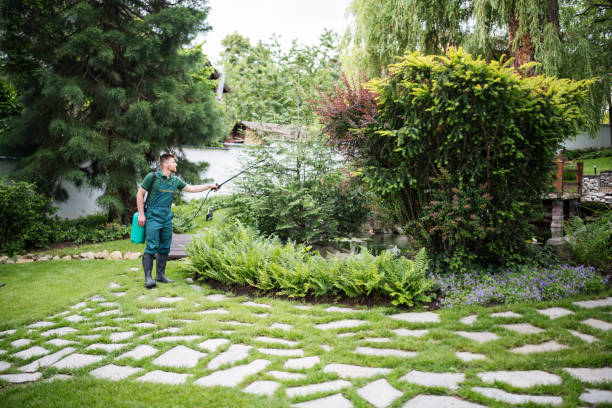 Best Pest Control for Homes  in Fincastle, TN
