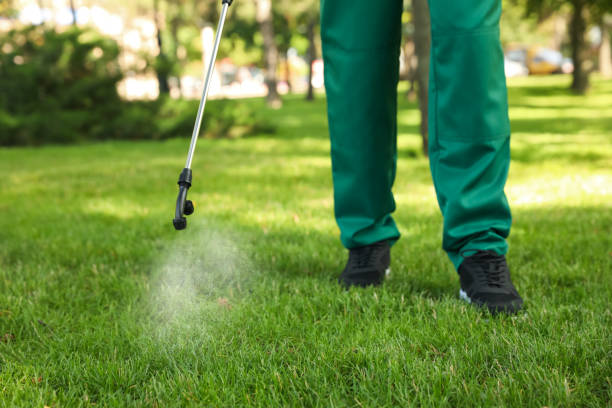 Best Wildlife Control Services  in Fincastle, TN