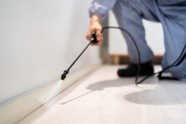 Pest Control Cost in Fincastle, TN