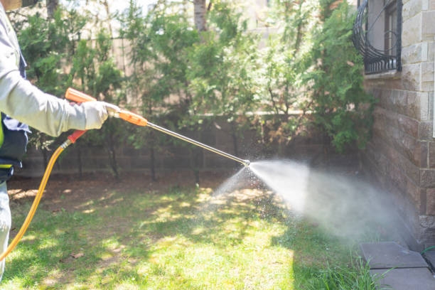 Best Emergency Pest Control  in Fincastle, TN