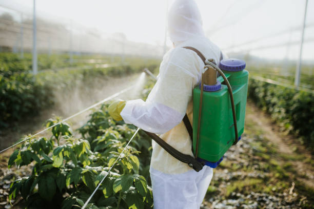 Best Best Pest Control Companies  in Fincastle, TN